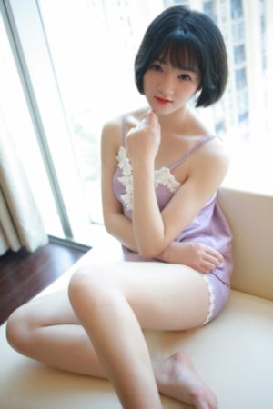 狂野大陆熊出没免费观看完整版